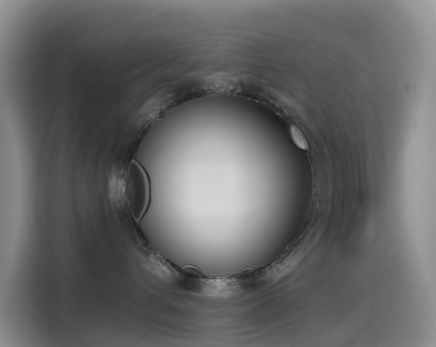 X0000114550432200910191415