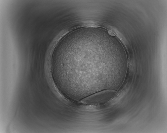 X0000114550433200910191414