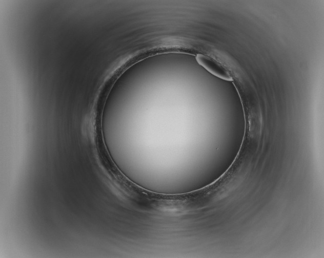 X0000114550436200910191414