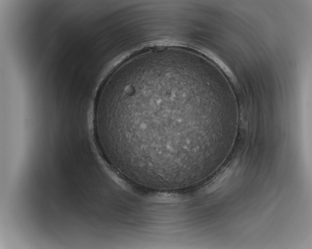 X0000114550437200910191414