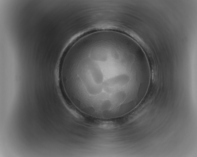 X0000114550438200910191414