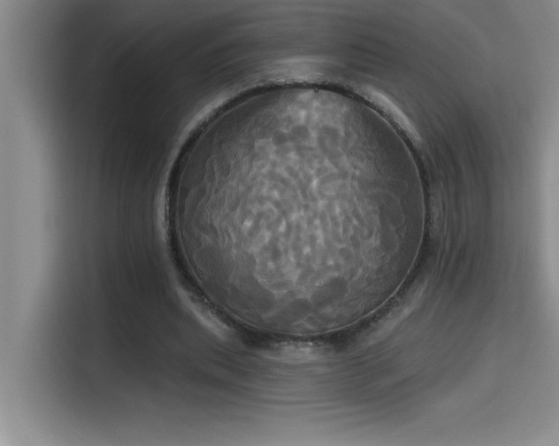 X0000114550439200910191414