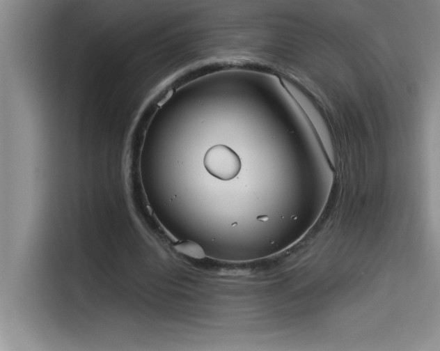 X0000114550440200910191414