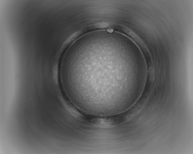 X0000114550442200910191414