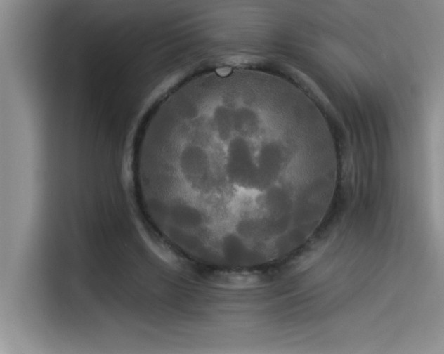 X0000114550443200910191414