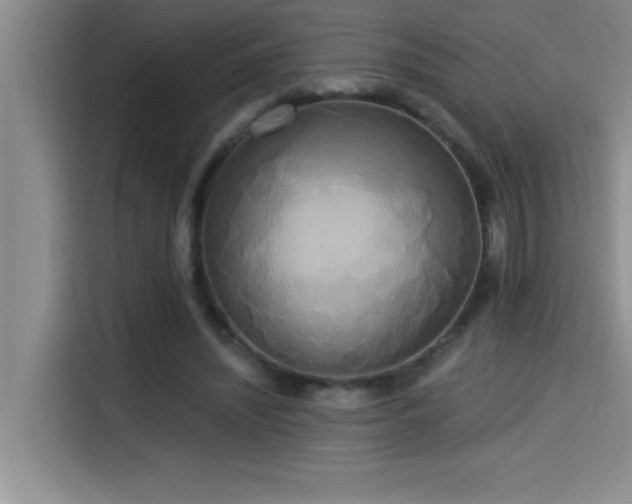 X0000114550444200910191414