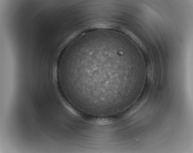 X0000114550445200910191414