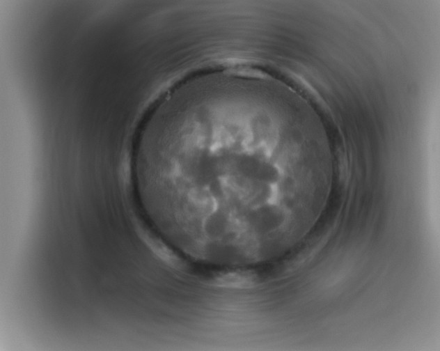 X0000114550447200910191414