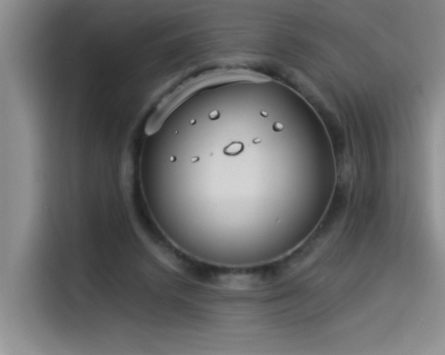 X0000114550448200910191414