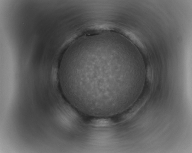 X0000114550449200910191414