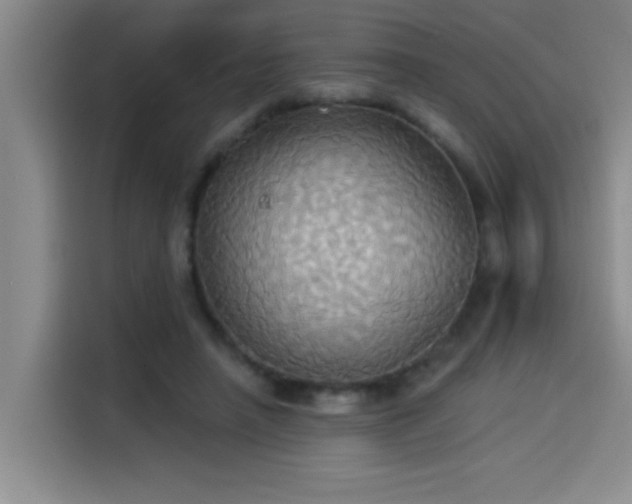X0000114550450200910191414