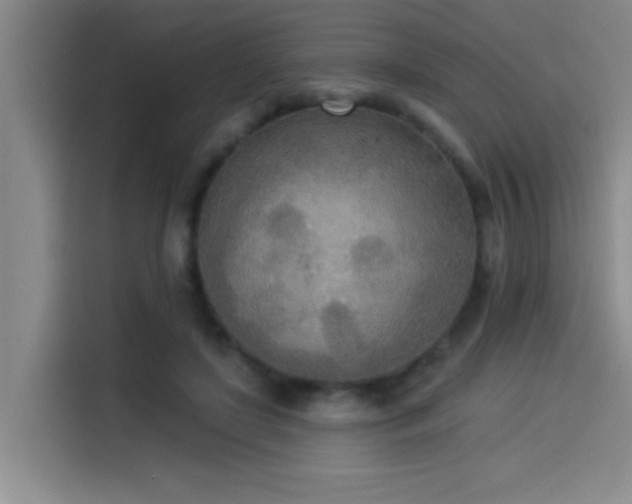 X0000114550451200910191415