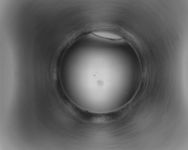 X0000114550452200910191415