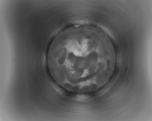 X0000114550453200910191415