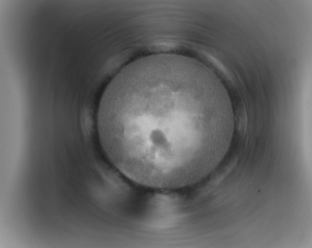 X0000114550455200910191415