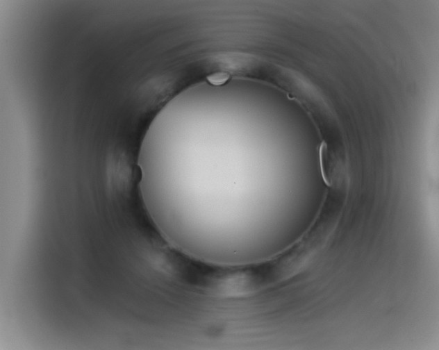 X0000114550456200910191415