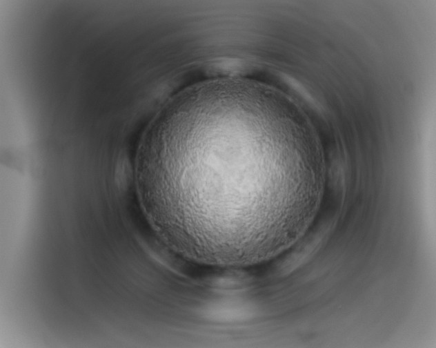 X0000114550459200910191415