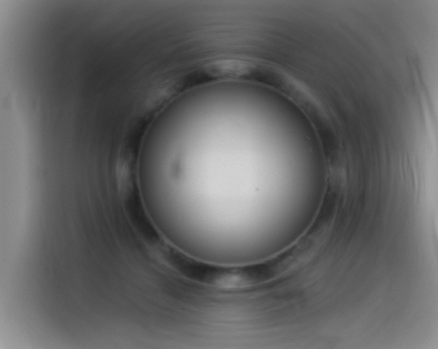 X0000114550460200910191415
