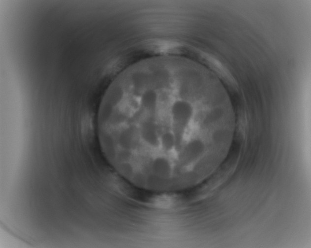 X0000114550461200910191415