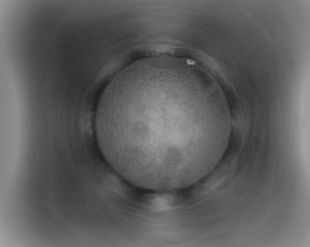 X0000114550462200910191415