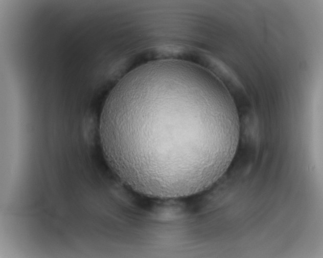 X0000114550463200910191415