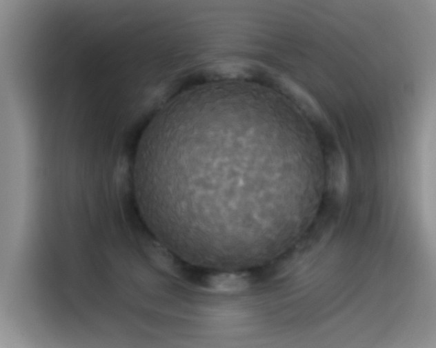 X0000114550465200910191415