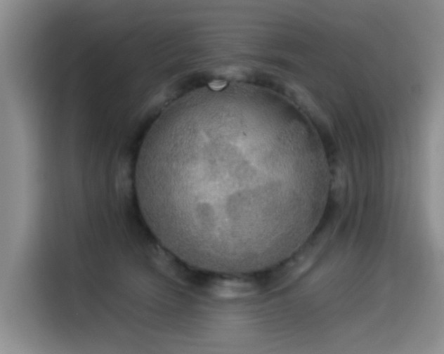 X0000114550466200910191415