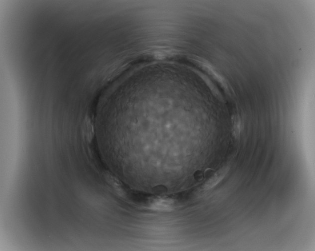 X0000114550471200910191415