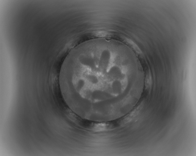 X0000114550473200910191415