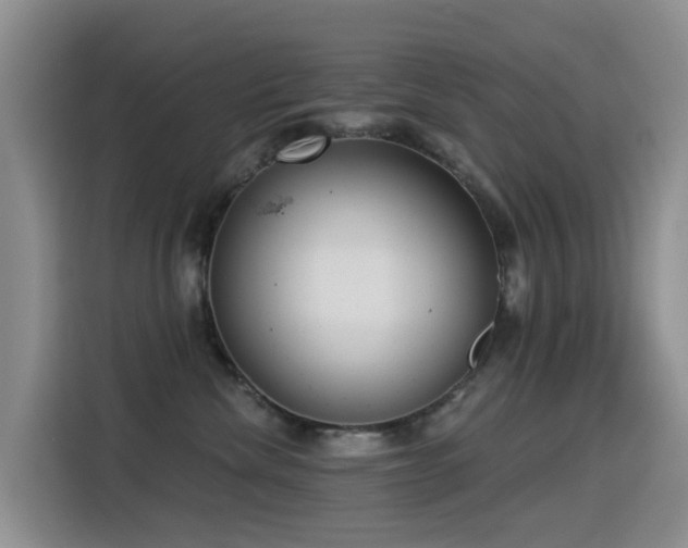 X0000114550476200910191415