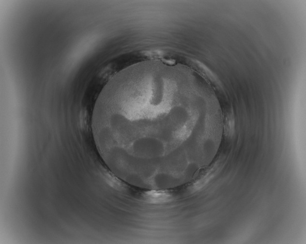 X0000114550477200910191415
