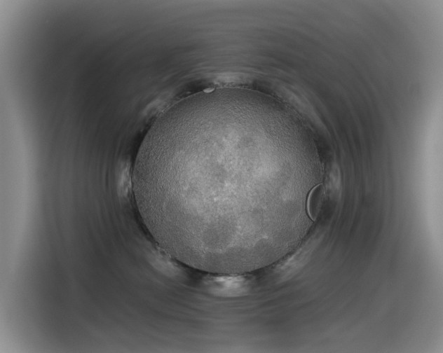 X0000114550478200910191415