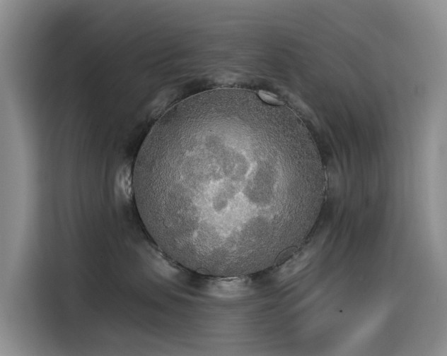 X0000114550479200910191415