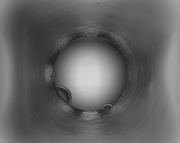 X0000114550480200910191415