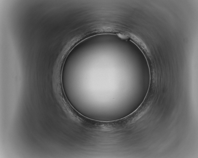 X0000114550481200910191414