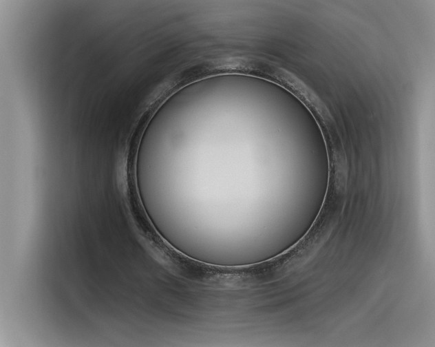 X0000114550482200910191414