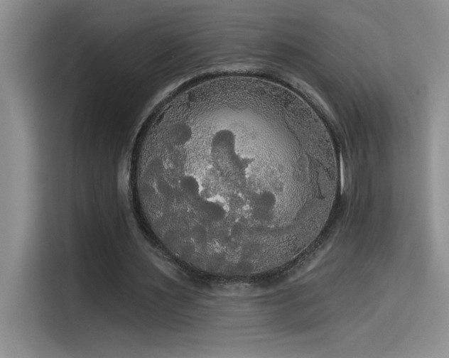 X0000114550483200910191414