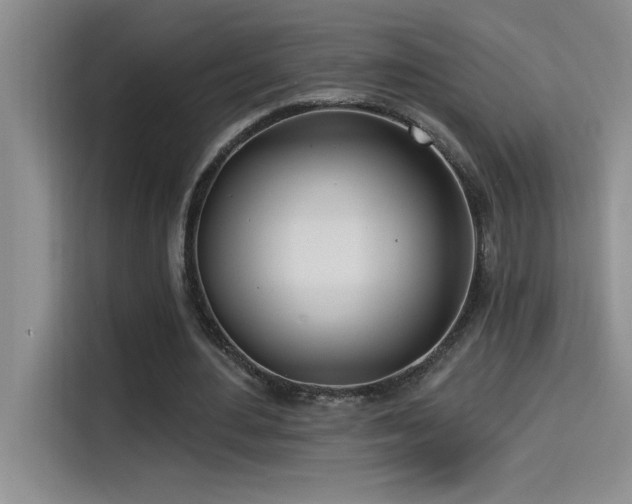 X0000114550484200910191414