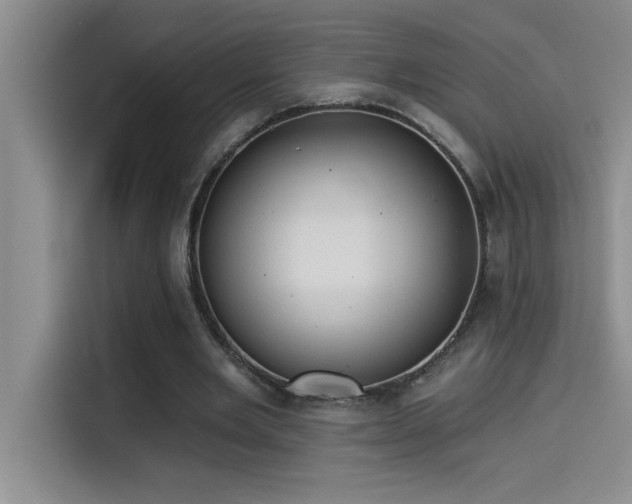 X0000114550485200910191414