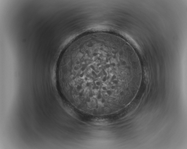 X0000114550487200910191414