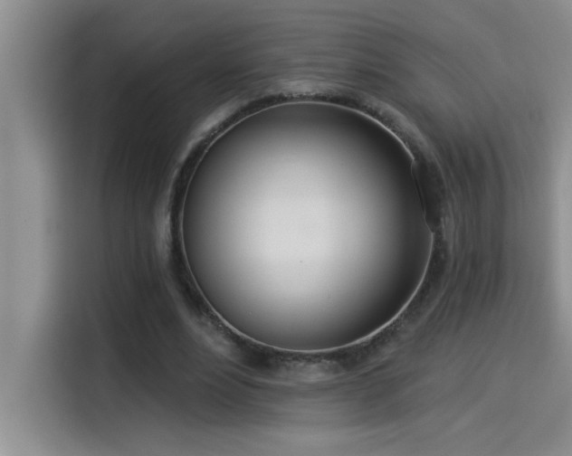 X0000114550488200910191414