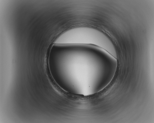 X0000114550489200910191414
