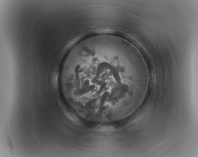 X0000114550491200910191414