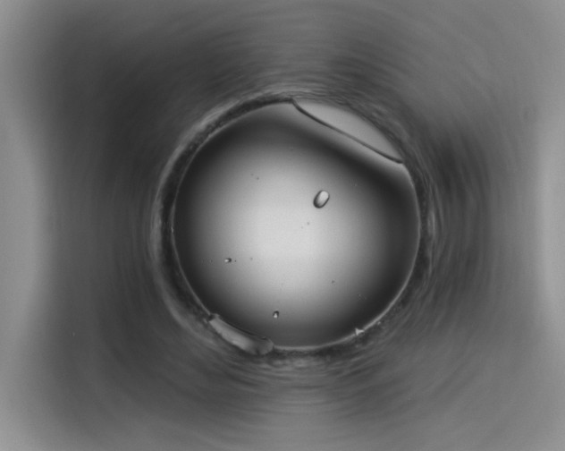 X0000114550492200910191414