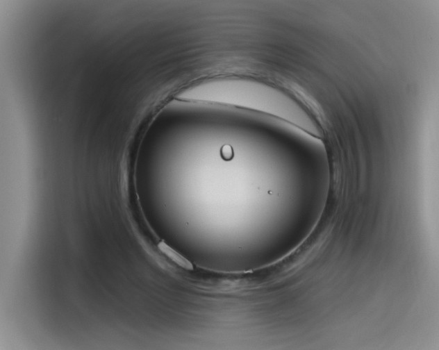 X0000114550493200910191414