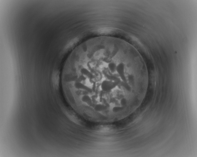 X0000114550495200910191414