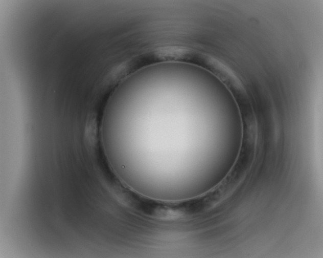 X0000114550498200910191414