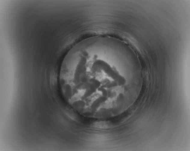 X0000114550499200910191414