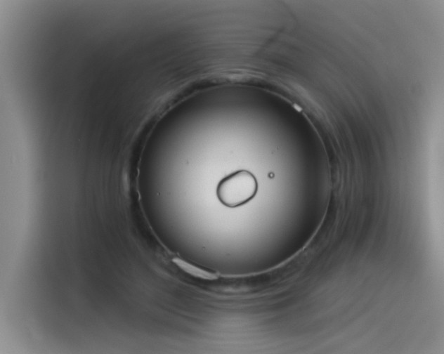 X0000114550500200910191414
