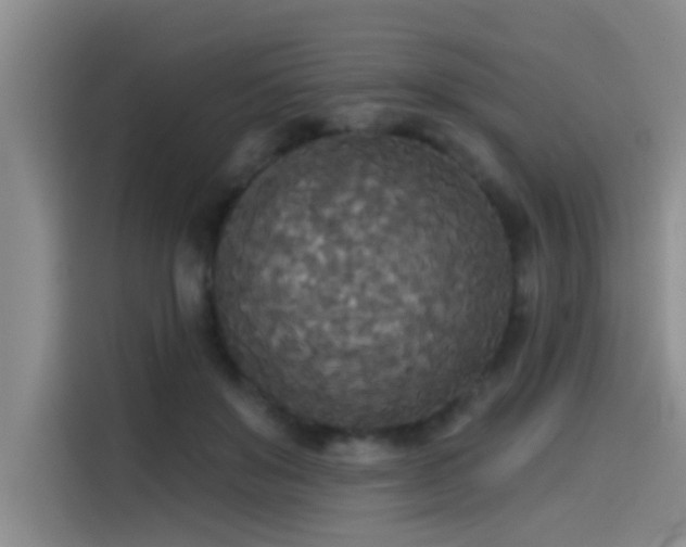 X0000114550503200910191414